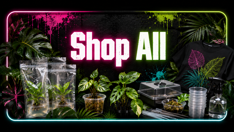 Shop All