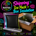 image shows an insulated shipping box with ice pack and plant protection. Rooted Kingdom, plants with purpose.